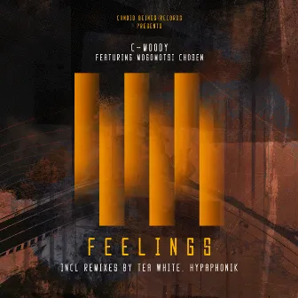 Feelings (Incl.Remixes) by C-Moody