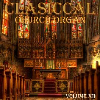 Classical Church Organ, Volume 12 by Jaap Zwart