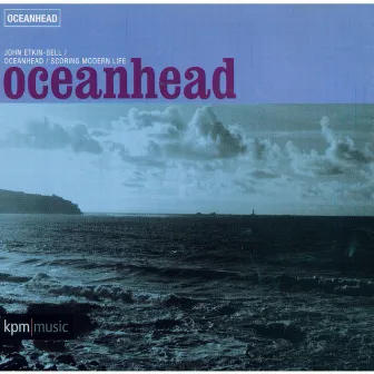 Oceanhead by John Etkin-Bell