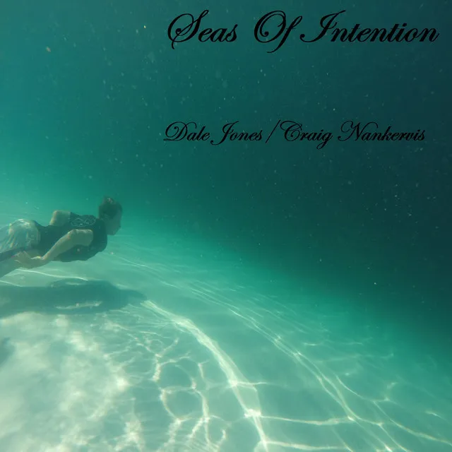 Seas of Intention