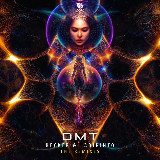 DMT - Synthetic System Remix