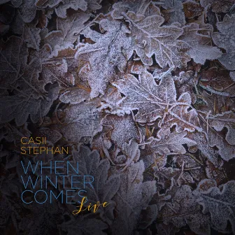 When Winter Comes (Recorded Live at Woody Guthrie Center) by Casii Stephan