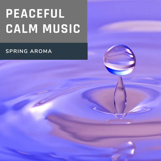 Peaceful Calm Music