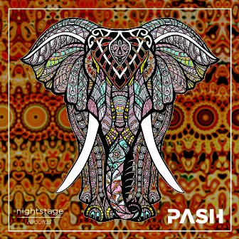 Elephant's Walk (Radio Version) by PASH