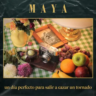 Un Día Perfecto para Salir a Cazar un Tornado by Maya