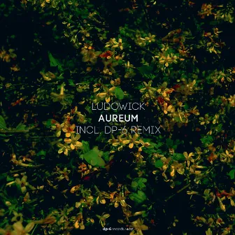 Aureum by Ludowick