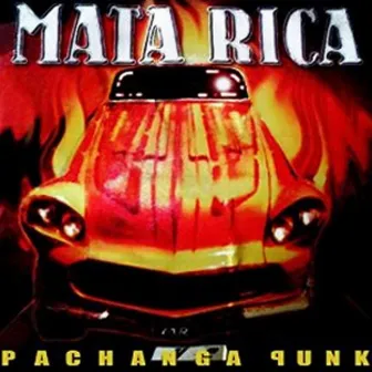 Pachanga Punk by Mata Rica