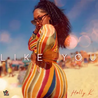 Like You by Holly K