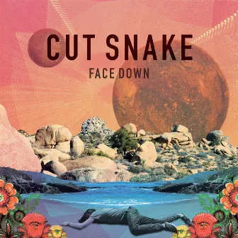 Face Down by Cut Snake