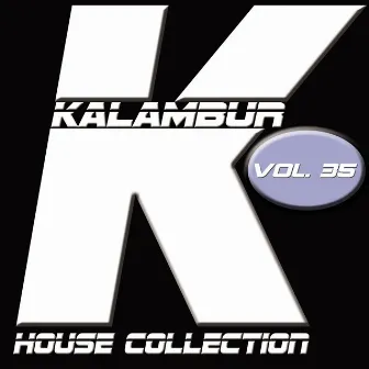 Kalambur House Collection, Vol. 35 by Mark P.