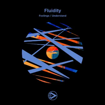 Feelings / Understand by Fluidity