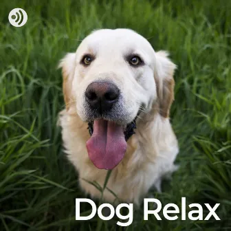 Dog Relax by The Dog Relaxer