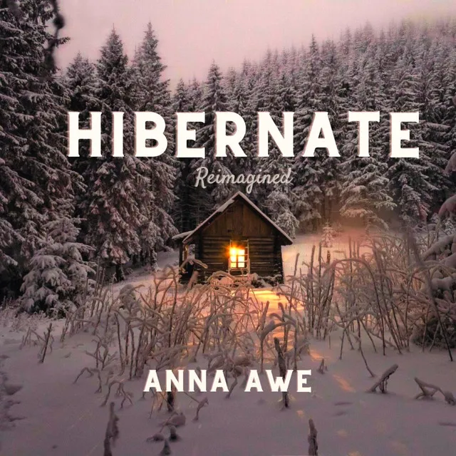 Hibernate - Reimagined