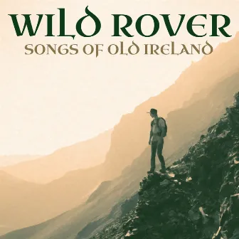 Wild Rover - Songs Of Old Ireland by Brian Dullaghan