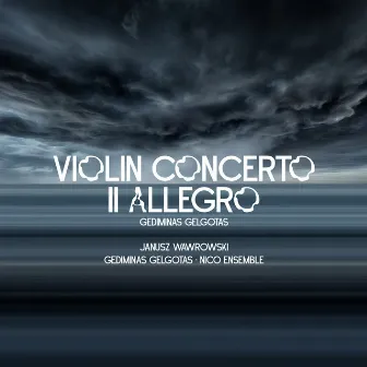 Violin Concerto No. 1, Version for Violin and String Orchestra: II. Allegro by Gediminas Gelgotas