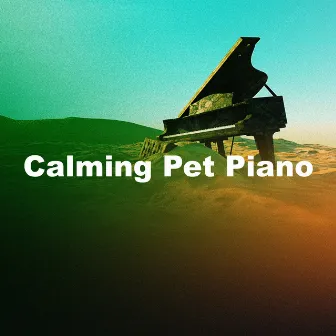 Calming Pet Piano by PETS LOVE MUSIC