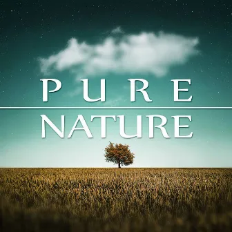 Pure Nature – Natural Harmony, Waves, Calm Music for Yoga, Massage Sounds, Spa Therapy, Nature Sounds, New Age by Awesome Nature Sounds Ensemble