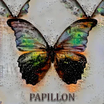 Papillon by Moze