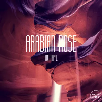 Arabian Rose by Tom Appl