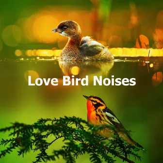 Love Bird Noises by Sonic Nature