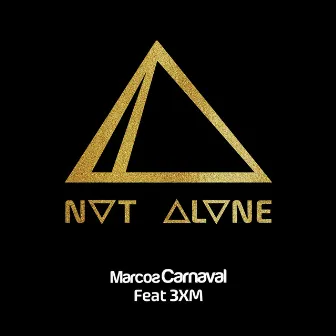 Not Alone by Marcos Carnaval