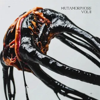 MUTAMORPHOSIS, Vol. 2 by PSP