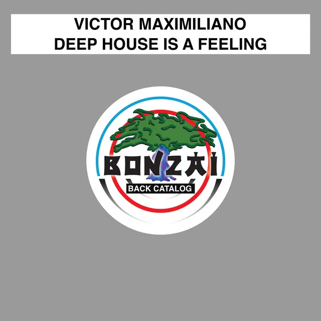 Deep House Is A Feeling