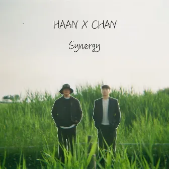 HAAN X Chan : Synergy by Chan