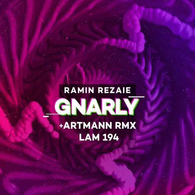 Gnarly - Artmann Remix