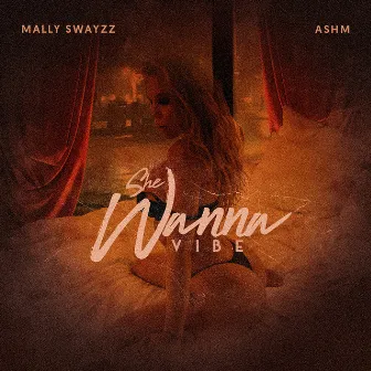 She Wanna Vibe (feat. ashm) by Mally Swayzz