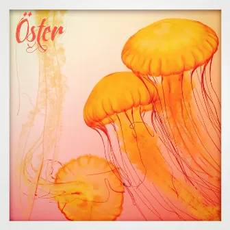 JellyFish by Öster