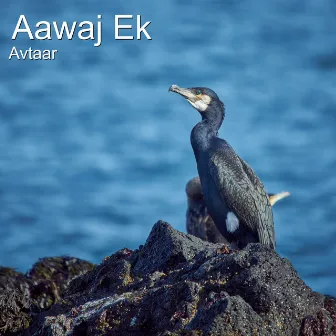 Aawaj Ek by Avtaar