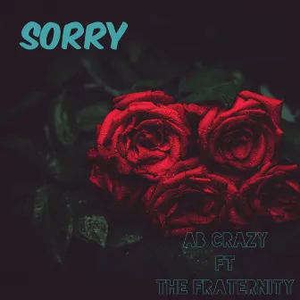 Sorry by AB Crazy