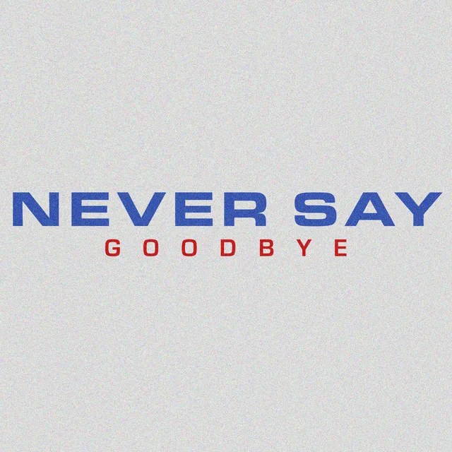 Never Say Goodbye