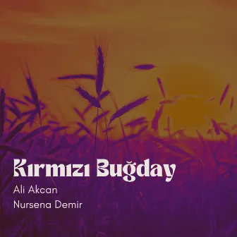 Kırmızı Buğday (Acoustic) by Nursena Demir