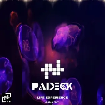 Life Experience (Radio Edit) by Padeck