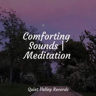 Comforting Sounds | Meditation by Relaxed Minds