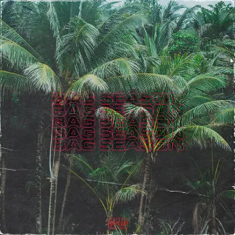 Bag Season by Ty Gunz