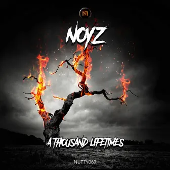 A Thousand Lifetimes by Noyz