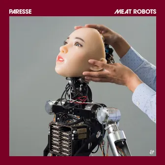 Meat Robots by Paresse