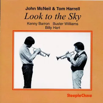 Look To The Sky by John McNeil