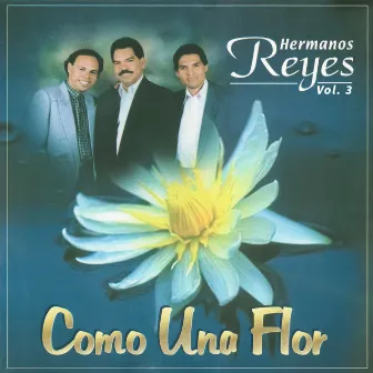 Como Una Flor by Los Hermanos Reyes