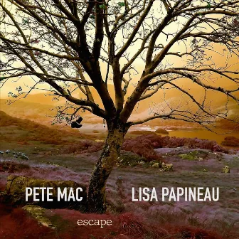 Escape by Pete Mac