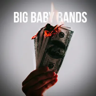 Big Baby Bands by Paisley Lame