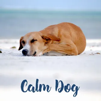 Calm Dog – Piano Classical Music for Dogs, Cats, Puppies, Anti Anxiety, Stress Relief, Flute, Saxophone, Relaxing Songs for Sleep by Instrumental Dog Music