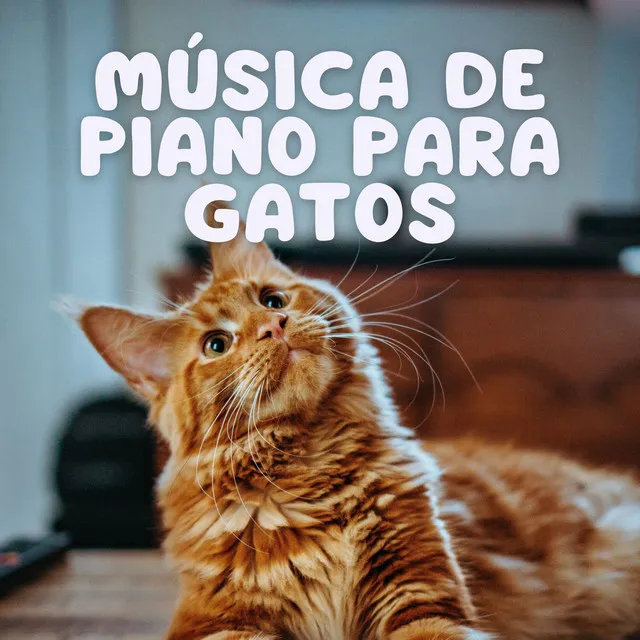 Señales Serias De Piano