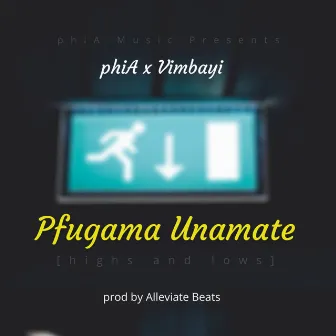 Pfugama Unamate (Highs and Lows) by Phia