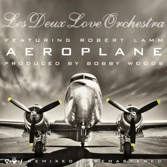 Aeroplane by Les Deux Love Orchestra