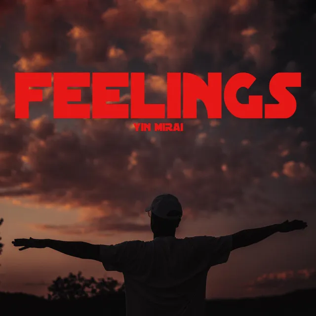 Feelings