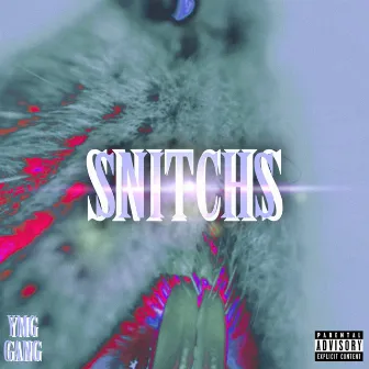 SNITCHS by YOVNG DIABLO